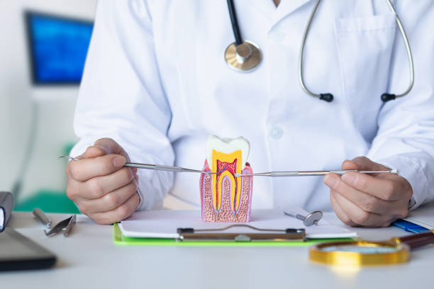 Best Emergency Wisdom Teeth Removal in Fobes Hill, WA